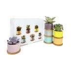 Set of 6 Shades of Succulents Planter Pots