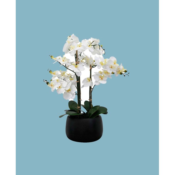 Tabletop Artificial Orchid Arrangement in Ceramic, 32