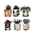 Cute Cat Planter Pot - 6 Mini 3