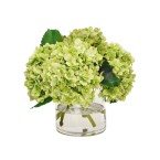 Permanent Botanicals Hydrangea in Cylinder Vase