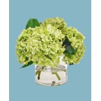 Permanent Botanicals Hydrangea in Cylinder Vase