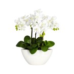 Phalaenopsis Flower Arrangement