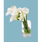 Permanent Botanicals Calla Lily in Vase