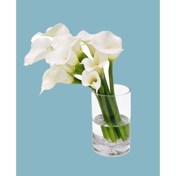 Permanent Botanicals Calla Lily in Vase