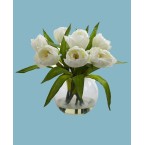 Tulips Arrangement w/Vase