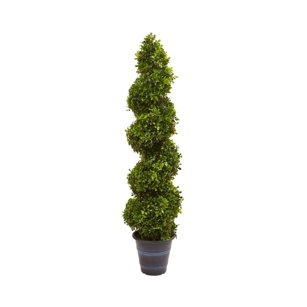 Boxwood Spiral Topiary w/ Planter